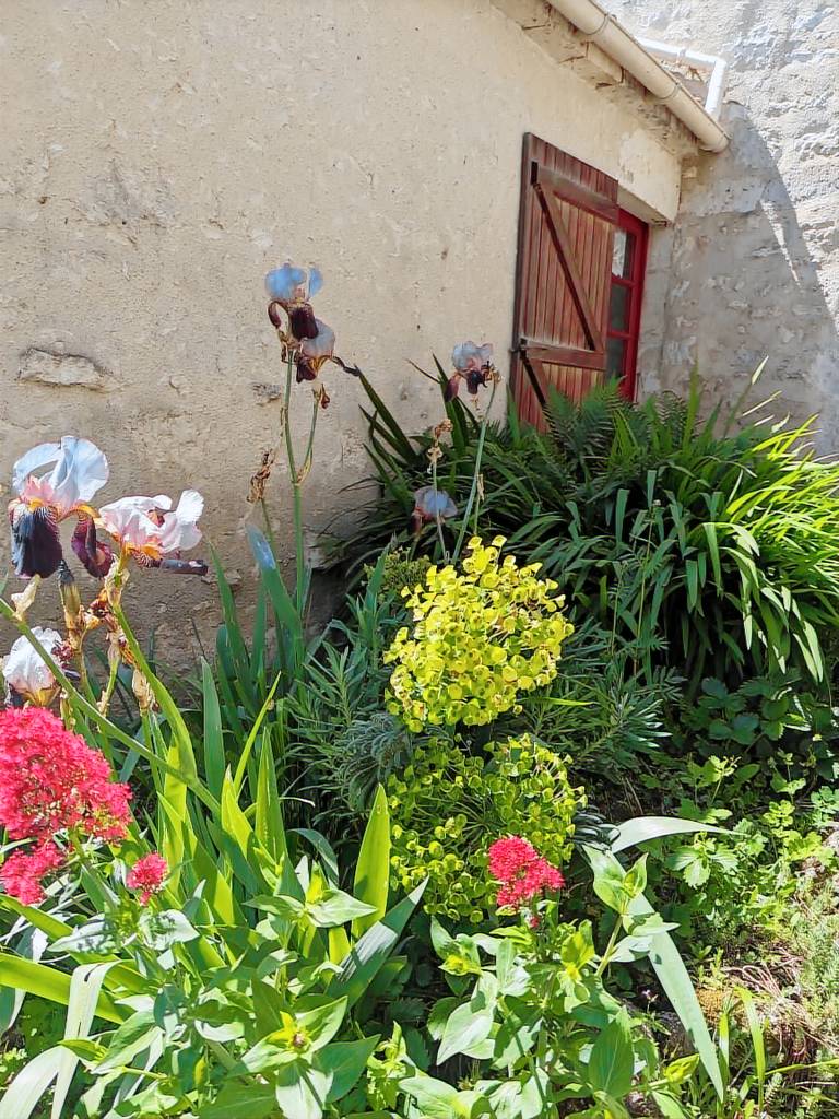 Gîte Nieul-sur-l'Autise