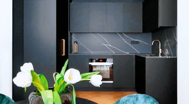Holiday apartment | Next to Prague astronomical clock | Pets are welcome in Prague