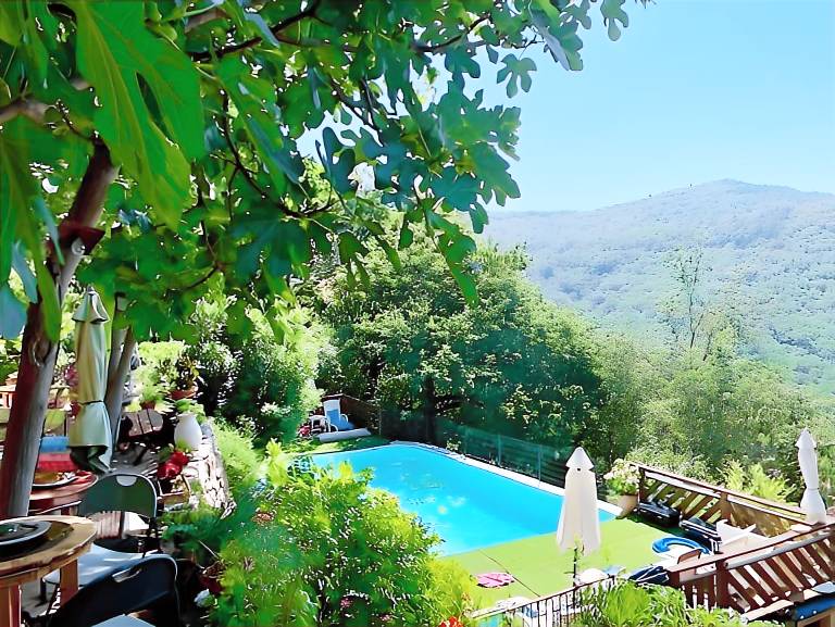 House with yard, grill & pool | Garden view | Dogs allowed — photo 3
