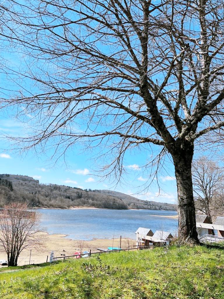 Appartement La Salvetat-sur-Agout