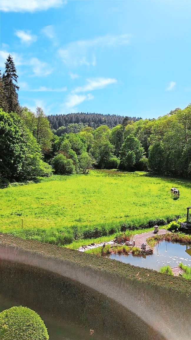 Ferienwohnung Spessart