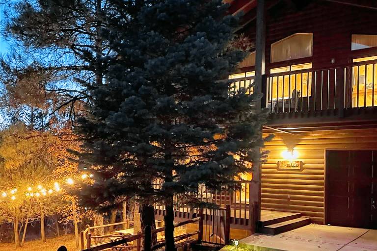 Cabin Pinetop