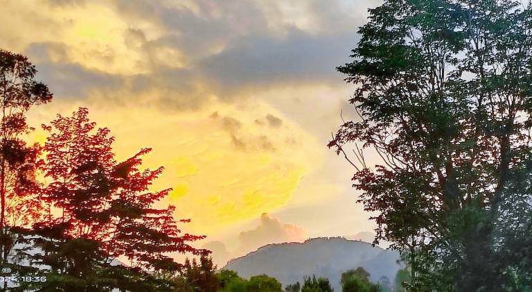 Bed and breakfast Western Ghats