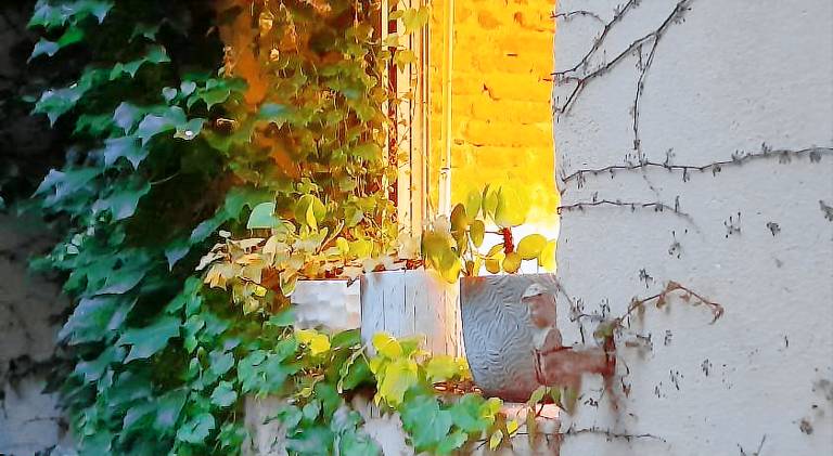 Holiday apartment | Close to Capitole de Toulouse in Toulouse