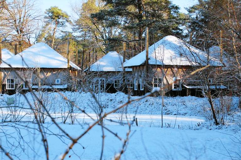 Bungalow Norg