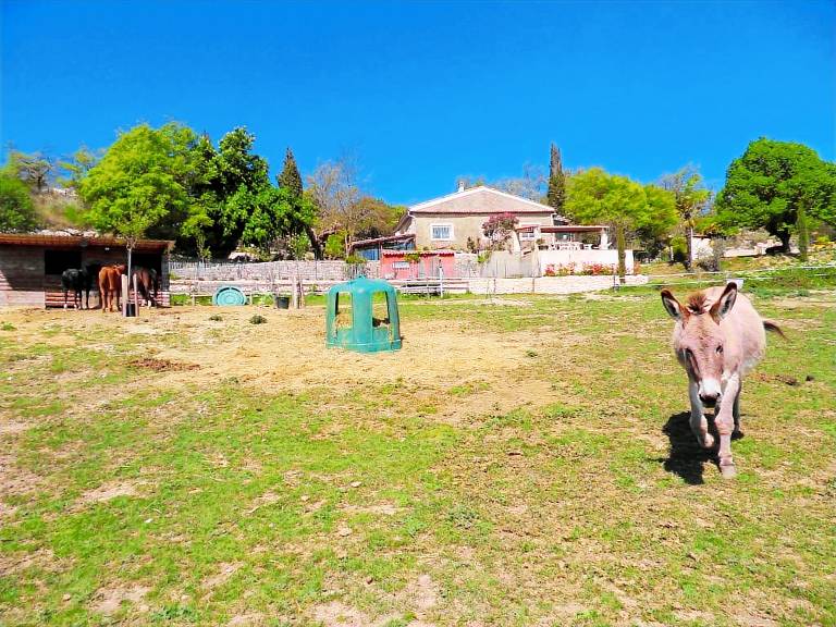 Gîte Pierrevert