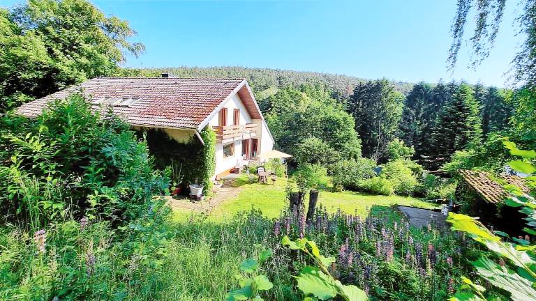 Ferienwohnung  Amorbach