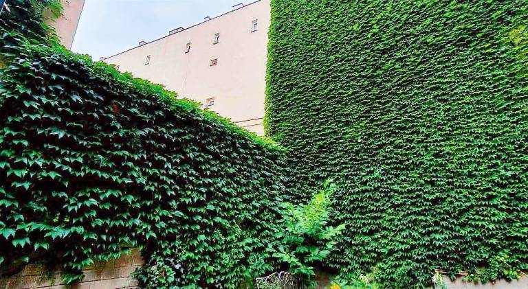 Holiday apartment with 1 room for 2 persons — photo 4