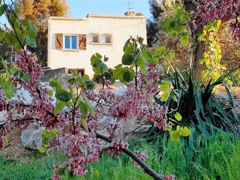 House  La Panouse