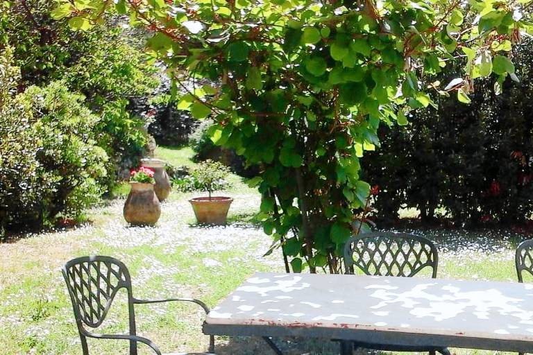 Farm with barbecue, private pool & yard — photo 4
