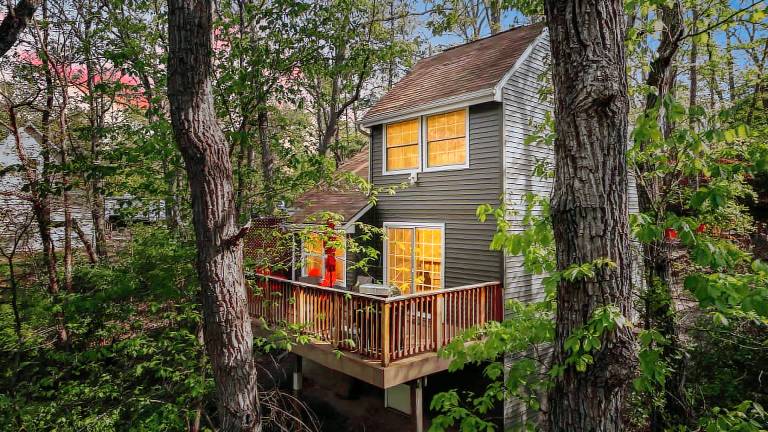 Cabin Gerrardstown