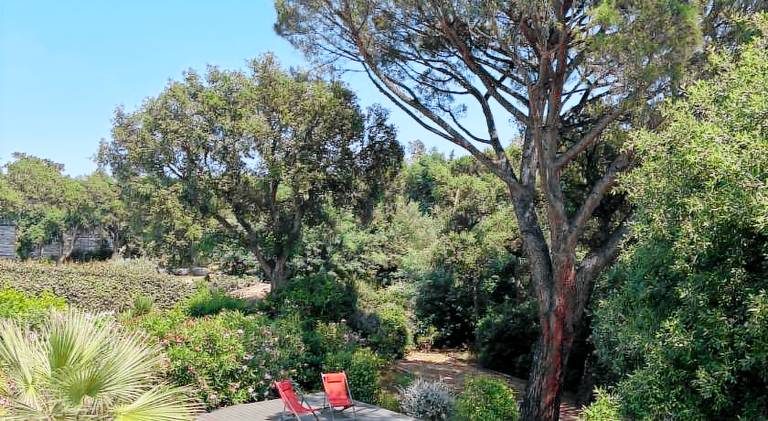 Villa with pool | Pets allowed in Cogolin