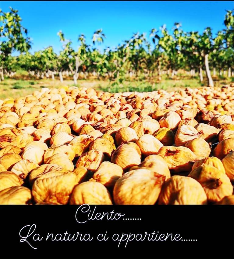 Agriturismo Chiusulelle: Camera Tripla N 2 — photo 4