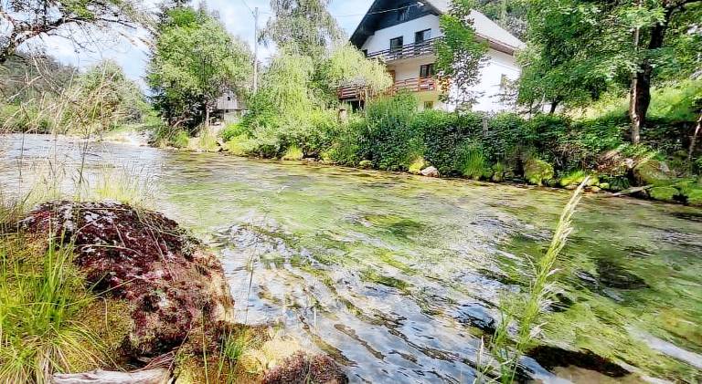 The RiverSide Chill Hostel in Gorje
