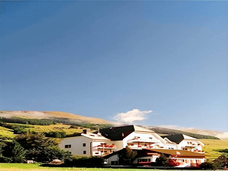 Typically Swiss Hotel Altana — photo 4
