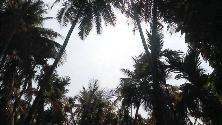 Pratiksha Cottage — photo 3