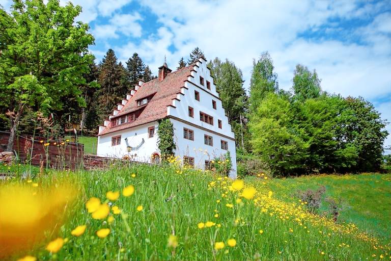 Nice vacation home with yard & terrace | Pets are welcome in Freudenstadt