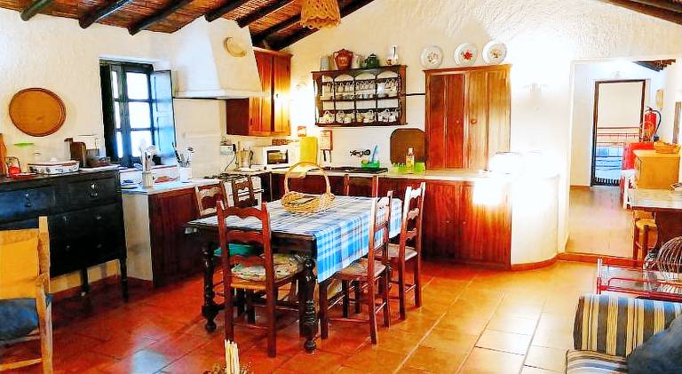 House with terrace, garden & BBQ | Dogs allowed — photo 4