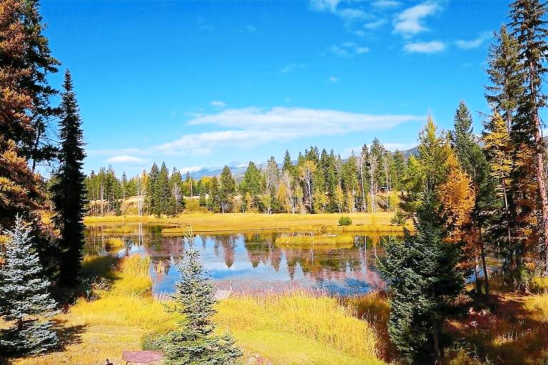 Cabin Seeley Lake