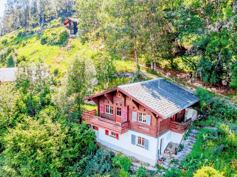 Ferienwohnung  Aletsch Arena