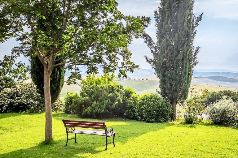 Azienda Agricola Poderuccio: Il Mandorlo — photo 3