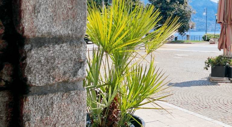 Apartment | Pets are welcome in Verbania