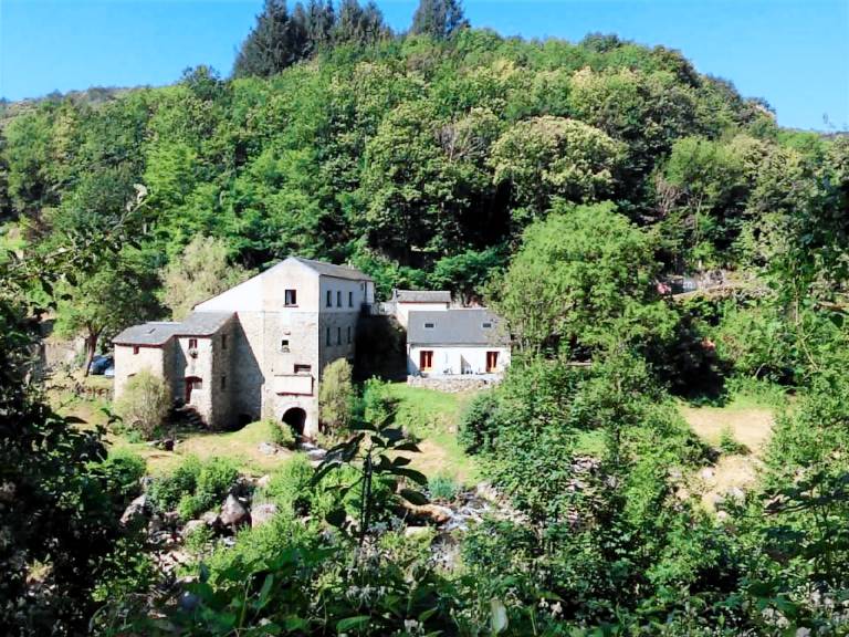 Holiday apartment with grill, yard & terrace | Nature view | Pet-friendly — photo 3