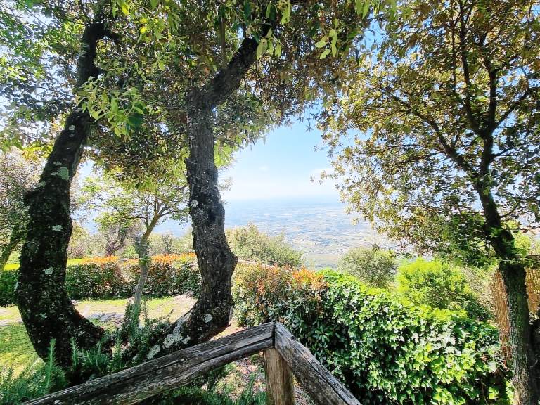 Casa Monsummano Terme