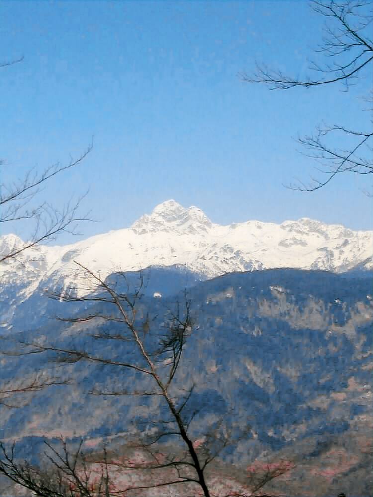 Apartma Kladje