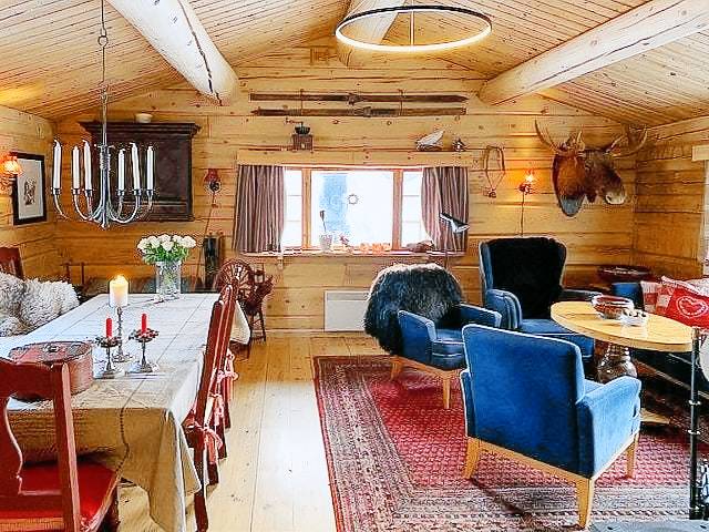 Ferienhaus mit Hund in Nore og Uvdal, Norwegen fuer max. 8 Personen
