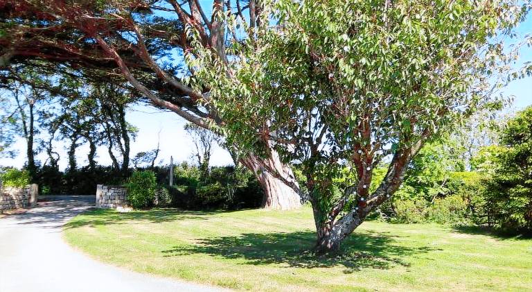 Bungalow with 1 room for 2 persons — photo 3