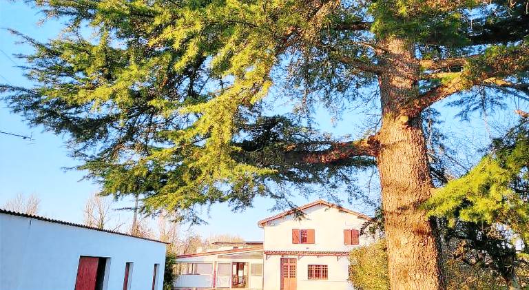 Auberge du Trinquet in Montauban