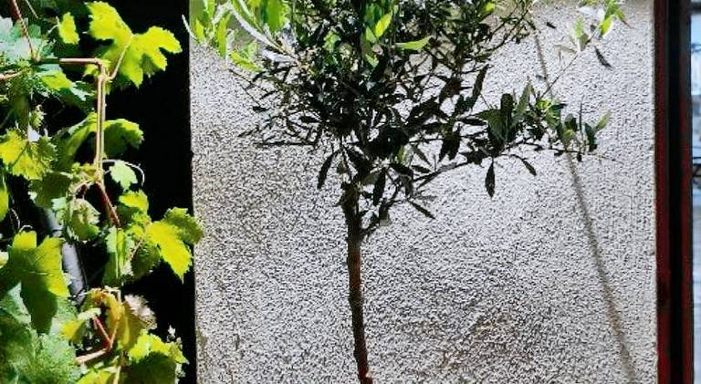 House with barbecue, yard & terrace in Heraklion