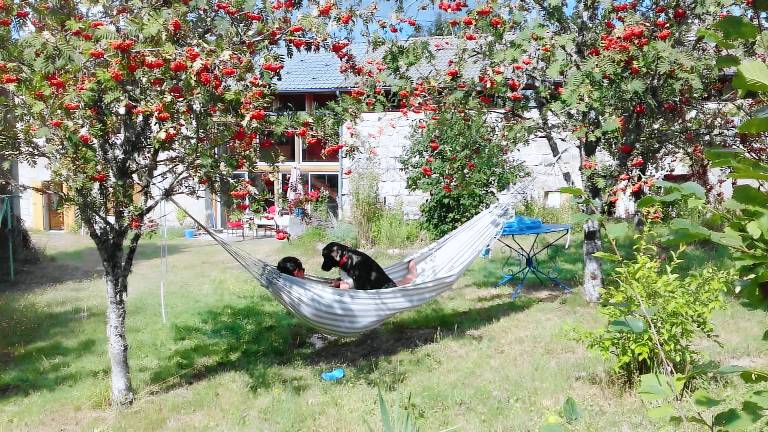 House with patio, fast internet & yard | Garden view | Dogs allowed — photo 5