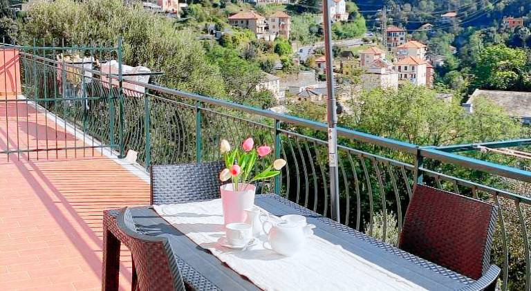 Holiday apartment | Pets are welcome — photo 2
