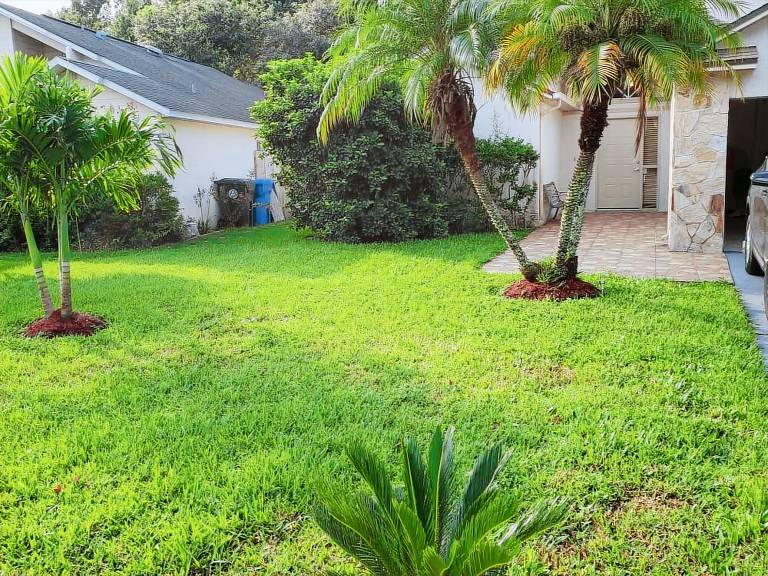 House Alafaya Woods