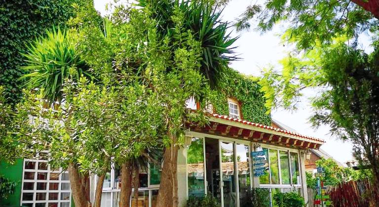 La Casa Verde — photo 3