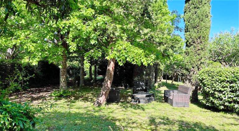 Havre de paix cosy avec jardin proche du centre-ville de Poitiers — photo 5