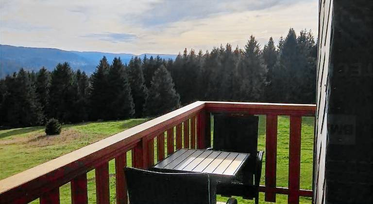 House with garden, barbecue & patio | Good for workation — photo 5