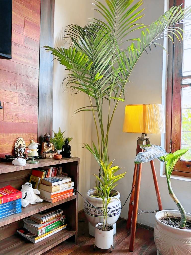 House with 2 rooms for 5 persons — photo 4