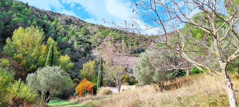 Appartement Caunes-Minervois