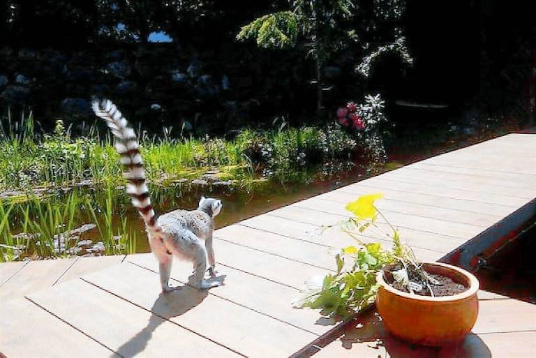 Ferienhaus Gemeinde Ebbs