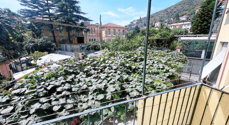 House with terrace — photo 5