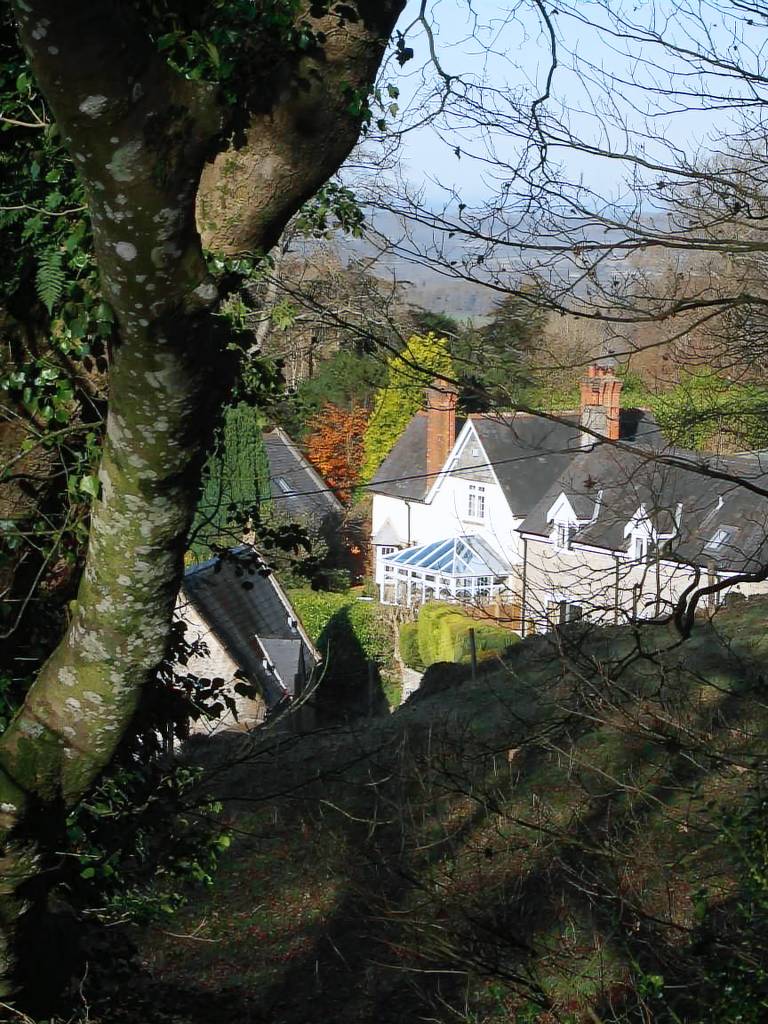 Cottage Beaminster