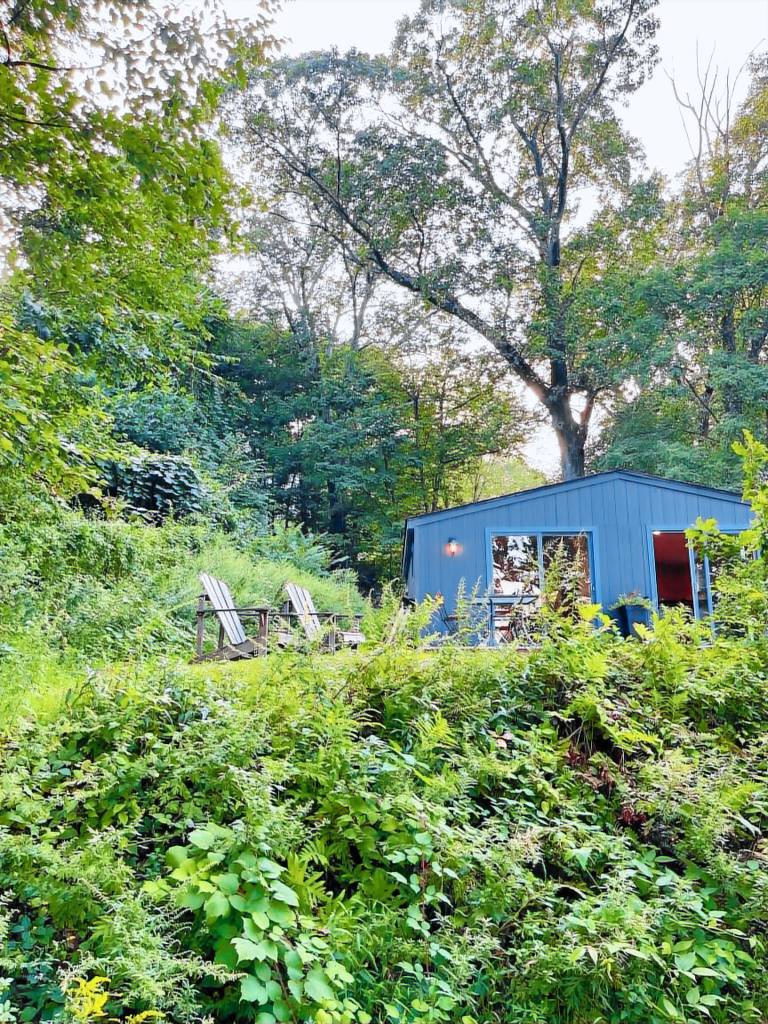 Cabin Kingston