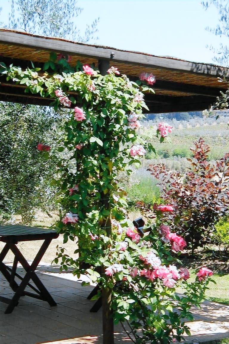 Holiday apartment with pool, yard & barbeque — photo 2