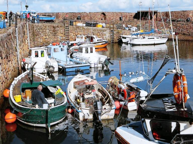 Cottage Crail