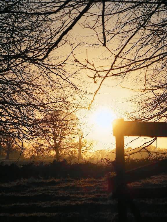 Cabin Aylsham