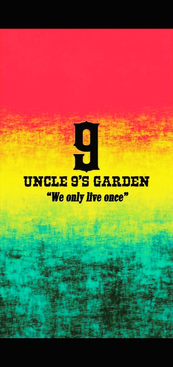 Nhà Chú Chín - Uncle Nine homestay in Quy Nhon