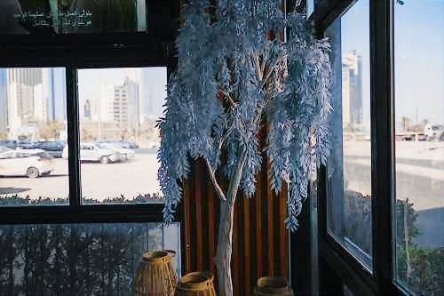 foto7